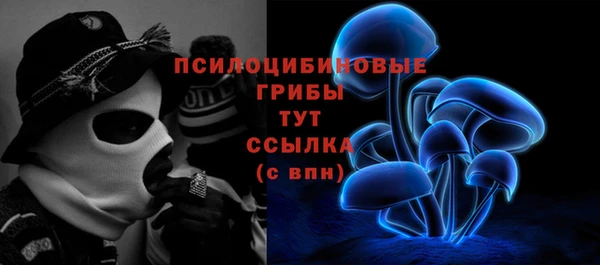 а пвп мука Белокуриха