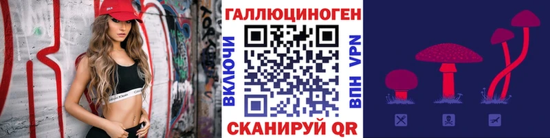 Галлюциногенные грибы мицелий  цены   Будённовск 